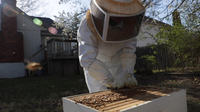 Mary, Mother of Bees Two